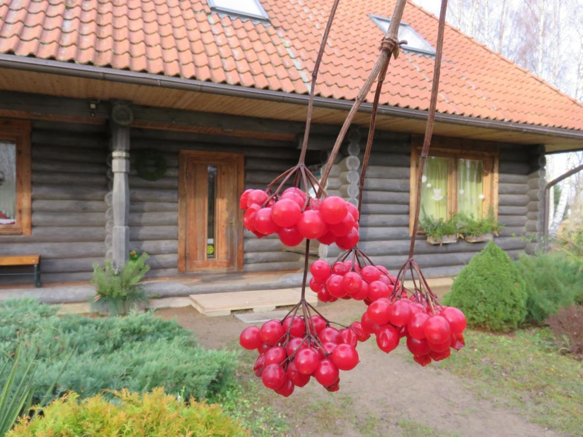 Guest House Leveri Valgalciems Kültér fotó